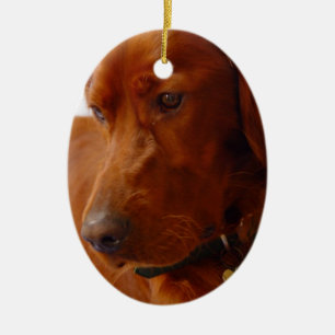 Ovale En Céramique Ornement de chien de poseur irlandais