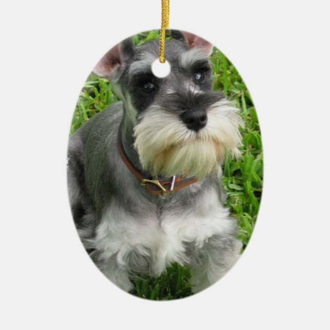 Ovale En Céramique Ornement de chien de Schnauzer (Devant)