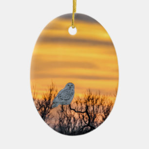 Ovale En Céramique Ornement de coucher du soleil de hibou de Milou