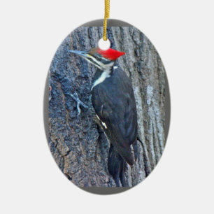 Ovale En Céramique Ornement de Joyeux Noël de pivert de Pileated