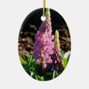 Ovale En Céramique Ornement de Lupin