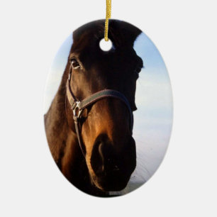 Ovale En Céramique Ornement doux de cheval de pur sang