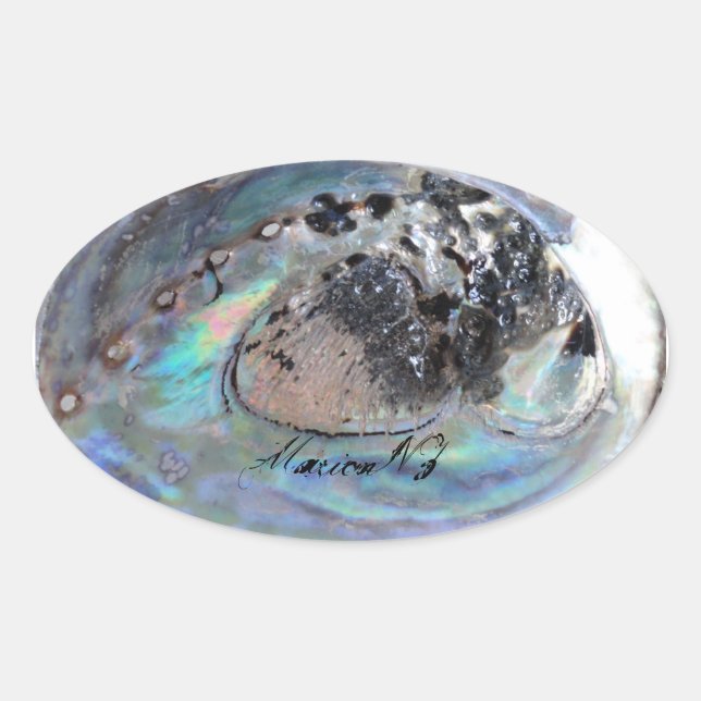 Ovale Paua Sticker (Devant)