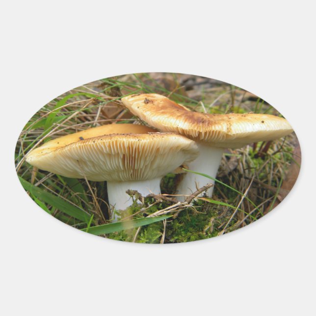 Ovale Sticker à double champignon (Devant)