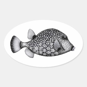 Ovale Sticker à Trunkfish lisse