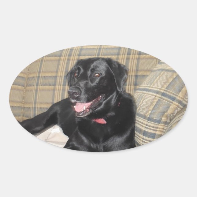 Ovale Sticker Black Lab (Devant)