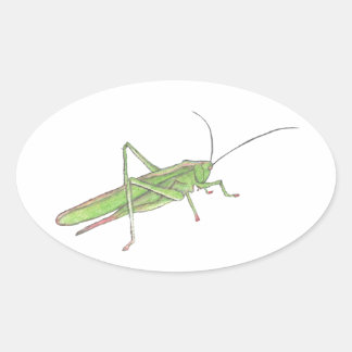Ovale Sticker Grasshopper