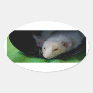 OVALE STICKER OVAL PEEWEE