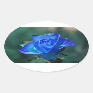 Ovale Sticker Rose bleu