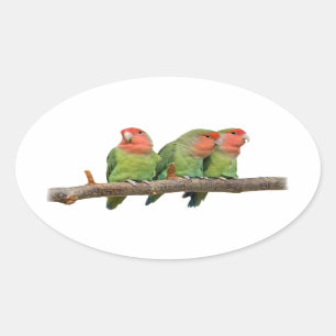 Ovale Sticker Trio Tweet