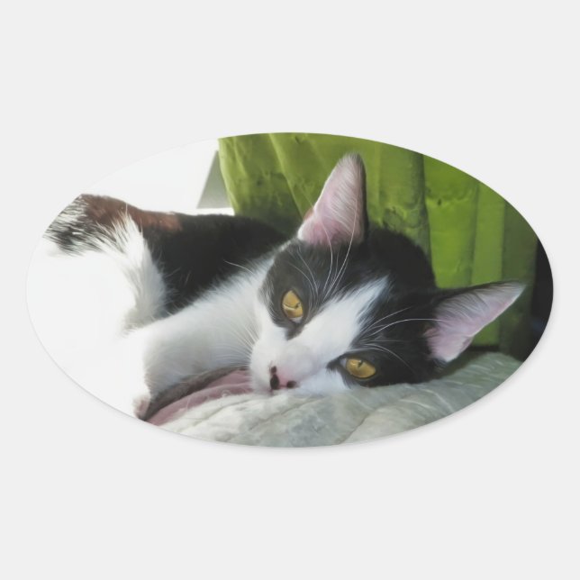 Ovale Sticker Tuxedo Cosy (Devant)