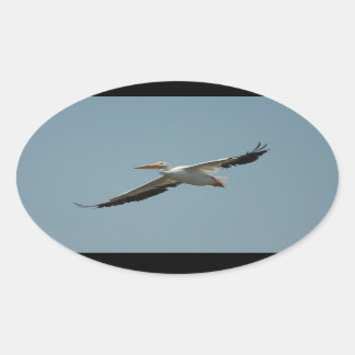 Ovale Voler Pelican 4 Sticker