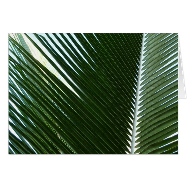 Overlapping Palm Fronds Tropical Green Abstract (Devant horizontal)