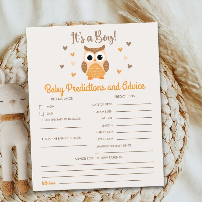 Owl Baby Shower Boy  (Créateur téléchargé)