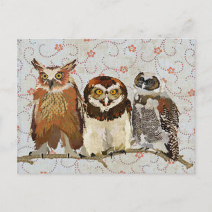 OWL DANS UNE Carte Postale LIGNE
