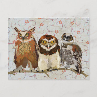 OWL DANS UNE Carte Postale LIGNE