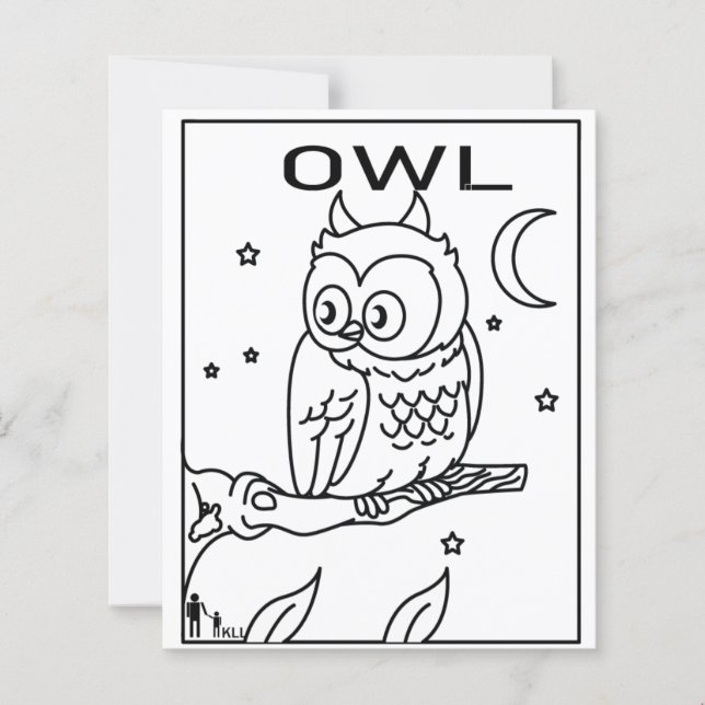 OWL DE NUIT (Devant)