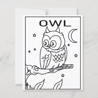 OWL DE NUIT