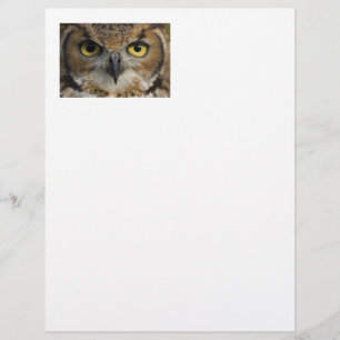 Owl Eyes