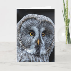 OWL FUNNY CUTE CARTE D'ANNIVERSAIRE