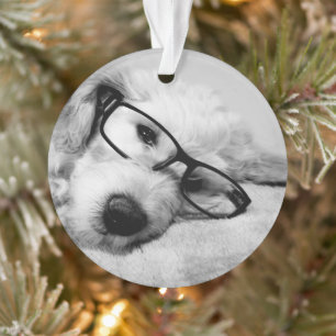 Oxyde d'or avec lunettes