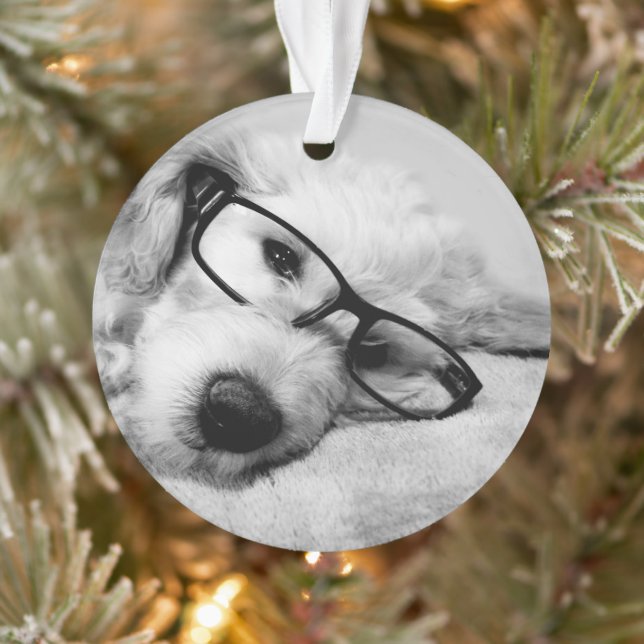 Oxyde d'or avec lunettes (Arbre)