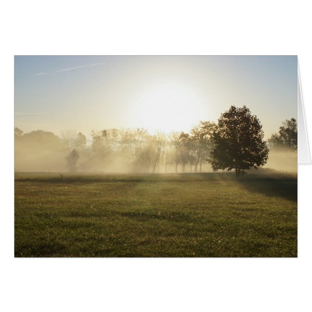 Ozarks Morning Fog (Devant horizontal)