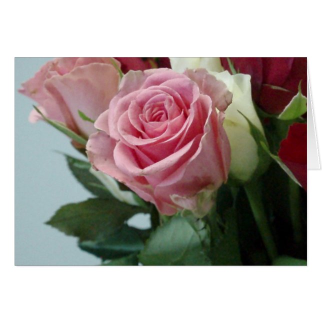 P2130014 (Devant horizontal)