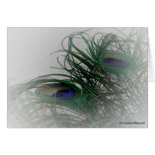 © P Wherrell Pale plumes de paon stylisées