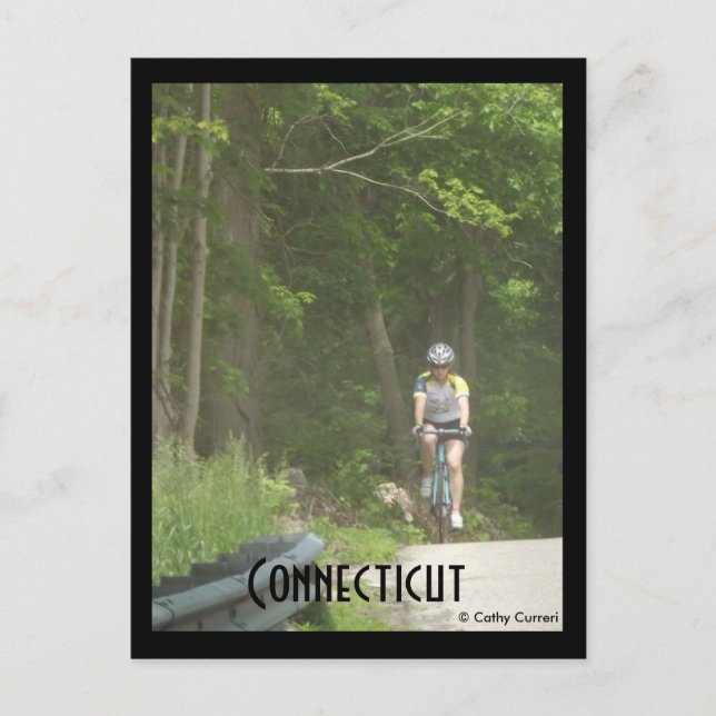 Pachaug State Forest, Ct. Carte postale (Devant)