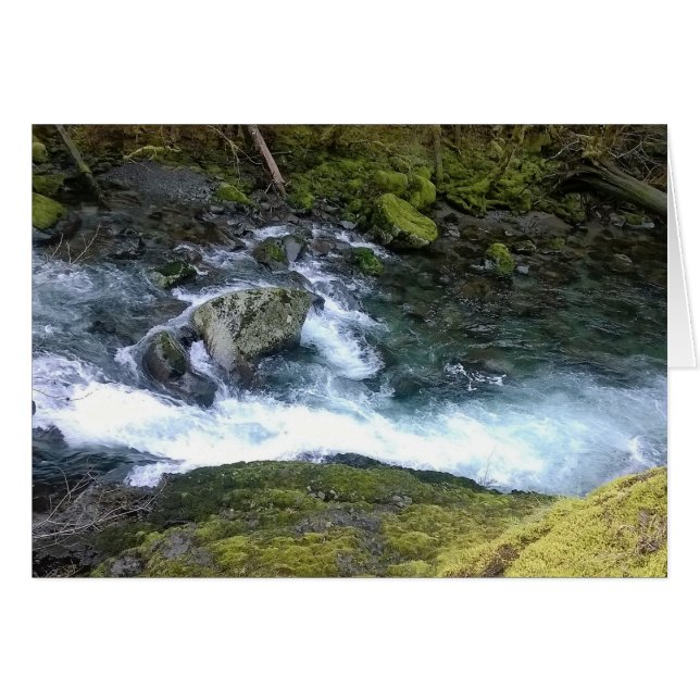 Pacifique Nord-Ouest Eau de précipitation (Devant horizontal)