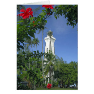 Pacifique Sud, Polynésie française, Tahiti. Hibisc