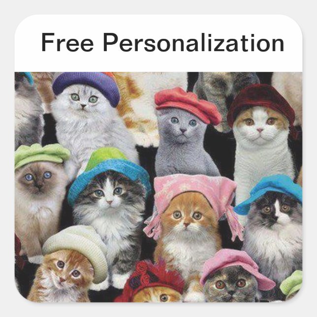 Pack Autocollant Amoureux de les chats (Devant)