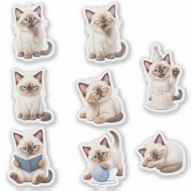 Pack de Stickers Gatito Tierno y Expresivo (Devant)