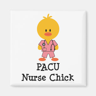 PACU Nurse Chick Magnet