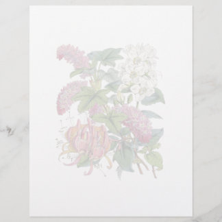 Page Botanique vintage