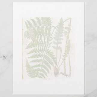 Page botanique vintage - Fern