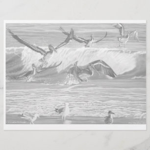 Page Danse Pélicans - Couleur en niveaux de gris