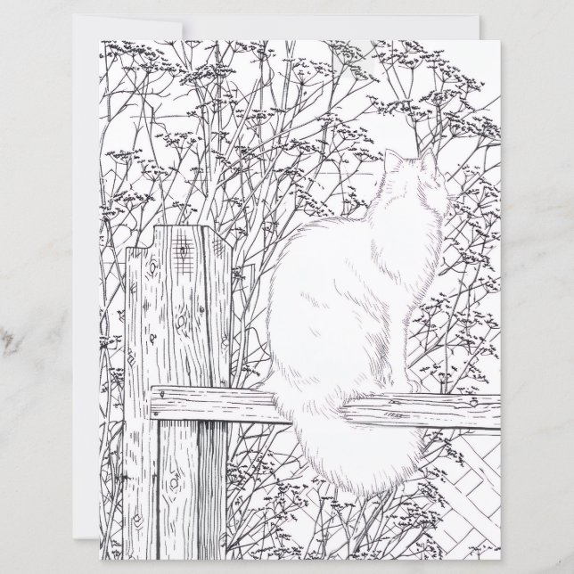 Page de coloriage - Chat sur une clôture (Devant)