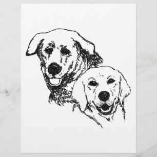Page de coloriage Deux chiens du Labrador