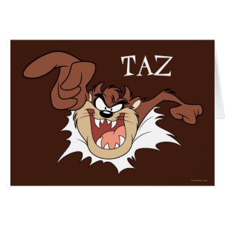 Page de gravure de TAZ™