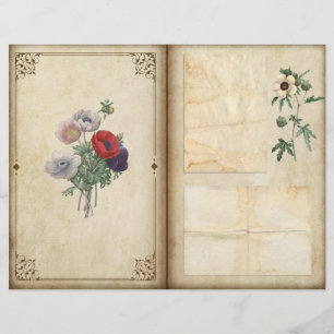 Page du journal botanique victorien vintage Poppie