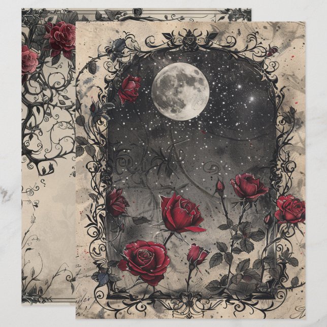 Page Journal de junk gothique vintage (Devant / Derrière)