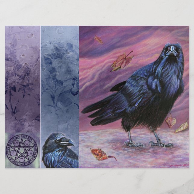 Page Journal de la junk corbeau (Devant)