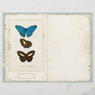 Page Papillon - Journal indésirable - Vintage avan