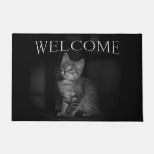 Paillasson Accueil chaton précieux