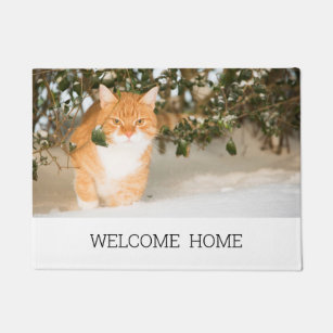 Paillassons Humour Chat En Zazzle Fr