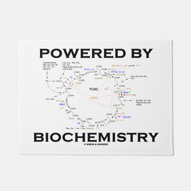 Paillasson Actionné par humour de geek de cycle de Krebs de (Devant)