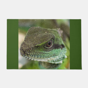 Paillasson Agama, lézard