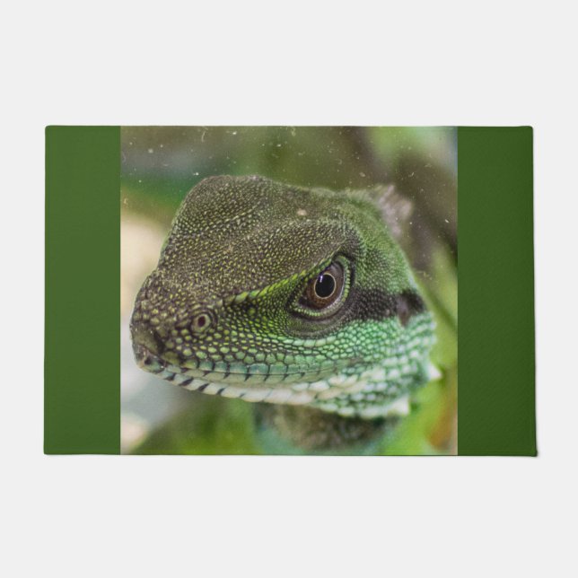 Paillasson Agama, lézard (Devant)